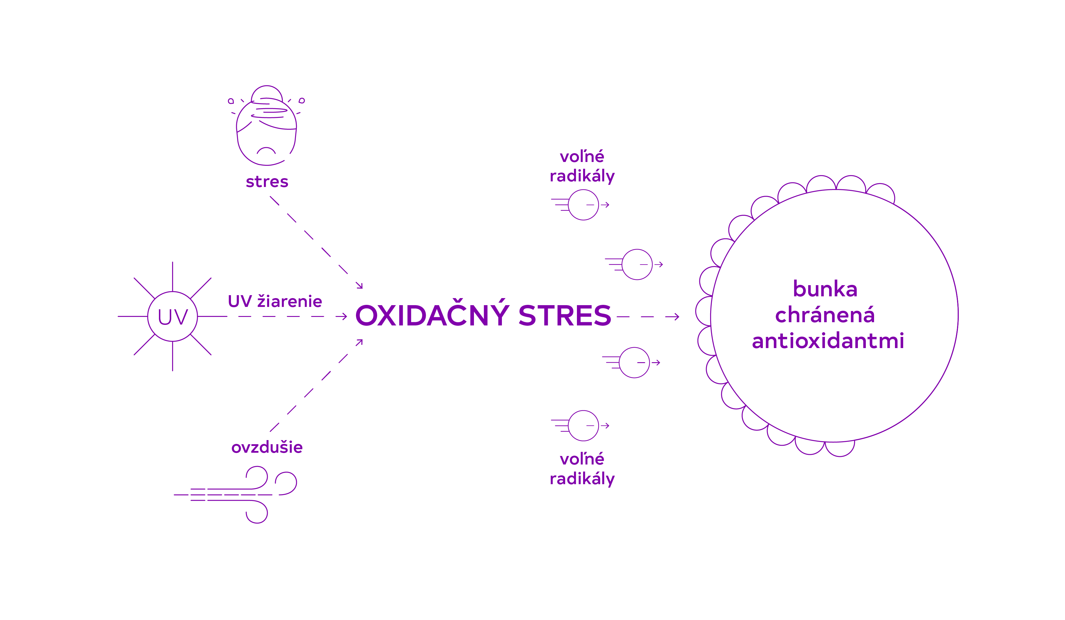 Proč pokožka potřebuje antioxidanty_sj_Ver.1